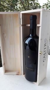 [cml_media_alt id='467']magnum primitivo riserva[/cml_media_alt]